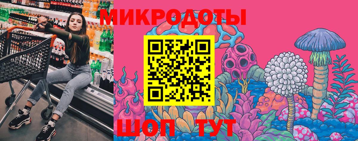 Строитель  Галлюциногенные грибы Cubensis  Вход с VPN 